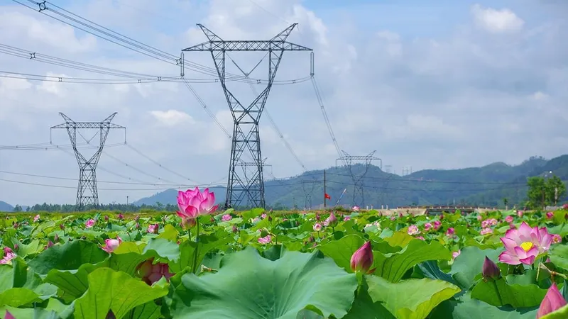 Chuyển dịch thiết bị để tiết kiệm điện 