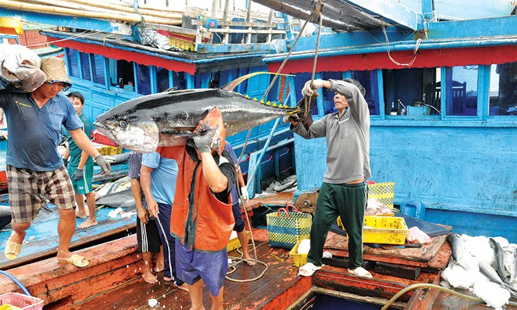 Thực hiện các biện pháp mạnh để chống khai thác hải sản bất hợp pháp