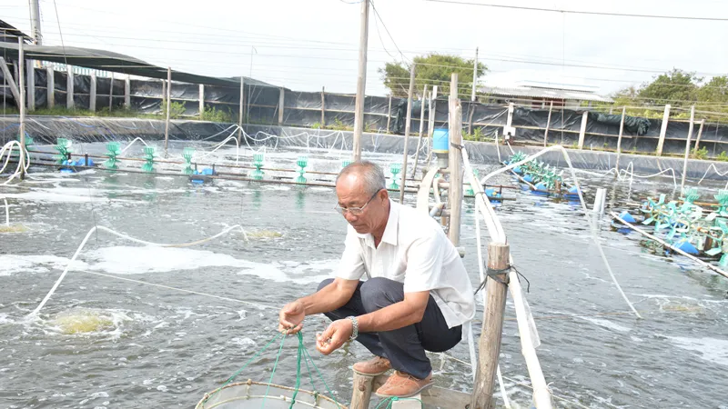 Nuôi tôm thu 140 tỷ đồng - được vinh danh là nông dân xuất sắc năm 2023