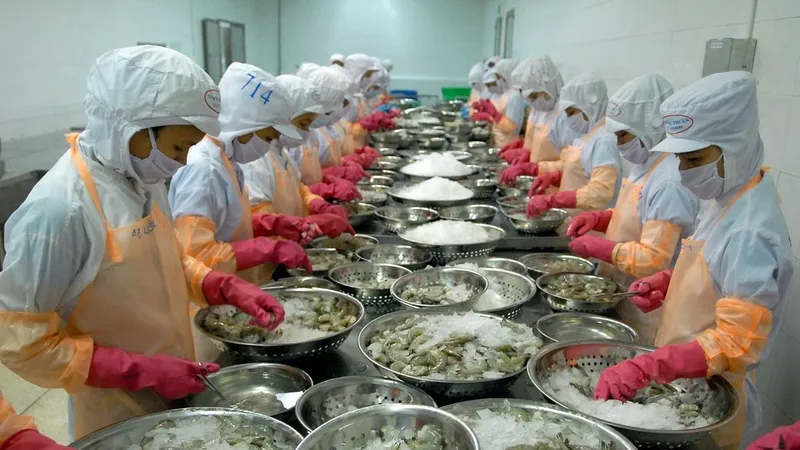 Tôm Việt Nam đối mặt nguy cơ "dịch chồng dịch"