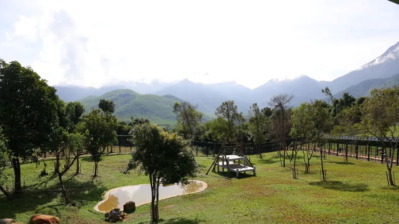 Khánh thành trung tâm cứu hộ gấu thứ 2 tại Việt Nam