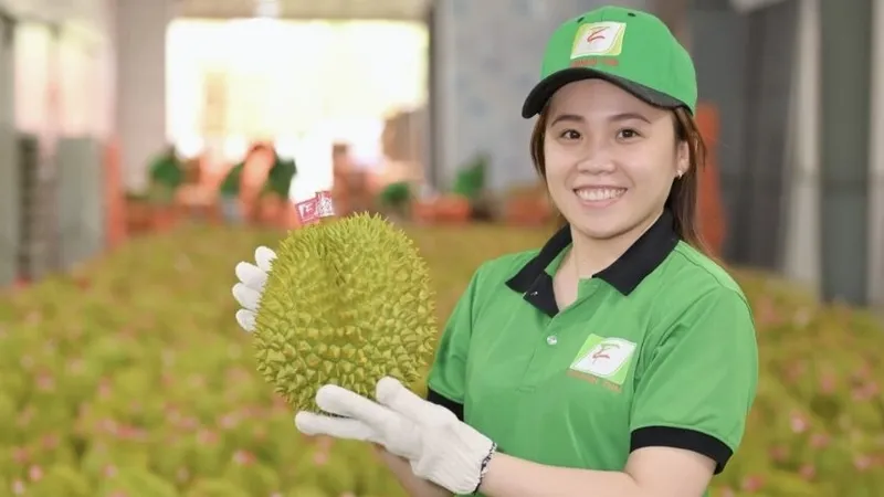 Sầu riêng trở thành mặt hàng nông sản xuất khẩu "hot" năm 2023 và đầy triển vọng trong năm 2024