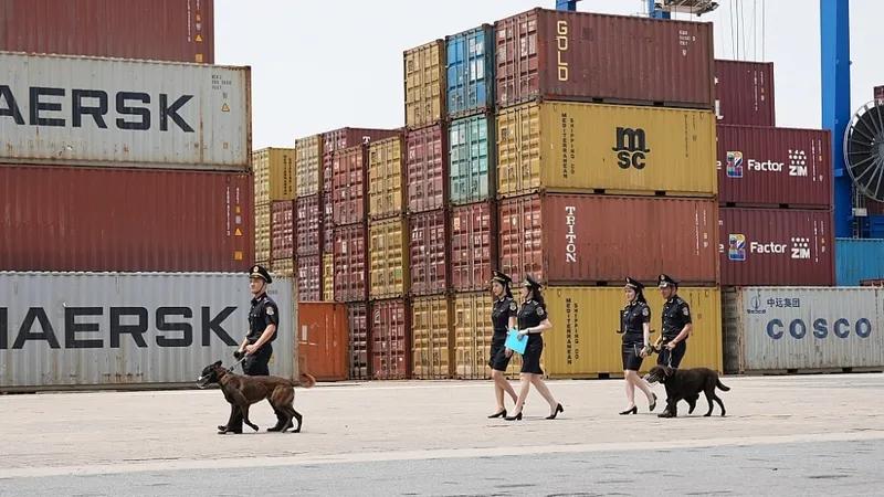 Có loại ma túy đến chó nghiệp vụ cũng không phát hiện được