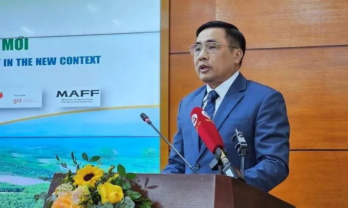 Cho tích tụ đất lâm nghiệp, nếu thu hồi phải đảm bảo lợi ích cho người trồng rừng