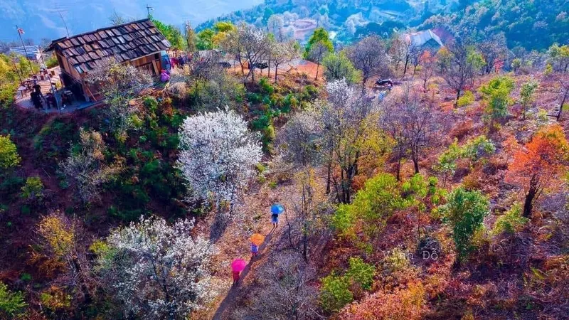Chuyên gia khí tượng: Từ ngày 3-3, miền Bắc ấm dần, miền Trung nắng nóng