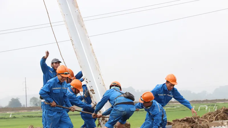 5 nhà thầu cung cấp cột thép cho dự án 500kV có dấu hiệu chậm tiến độ 