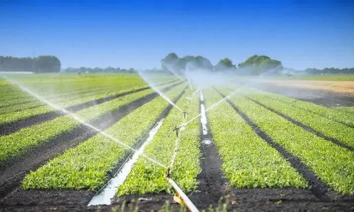 Việt Nam muốn học kinh nghiệm canh tác trên sa mạc của Israel