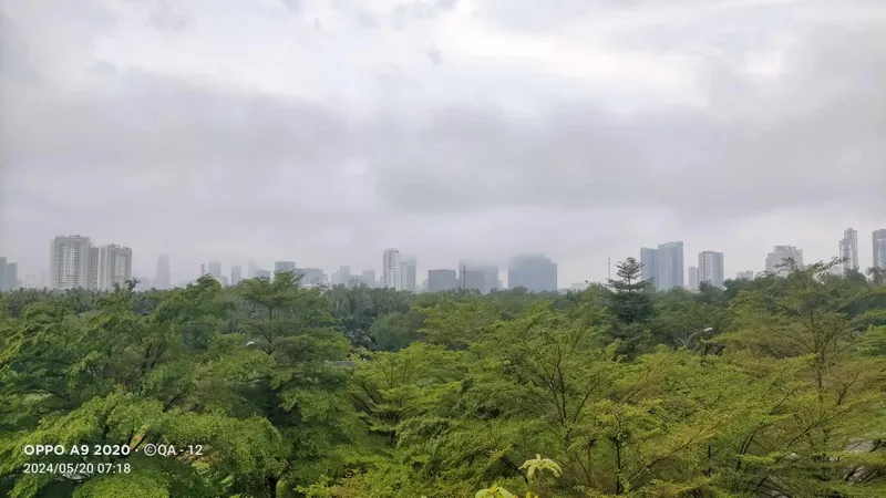 TPHCM có mưa