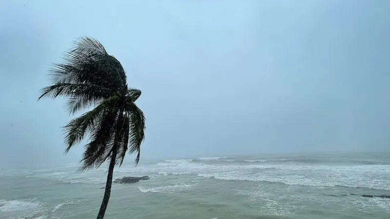 Ứng phó gió mạnh, sóng lớn từ Đà Nẵng đến Kiên Giang