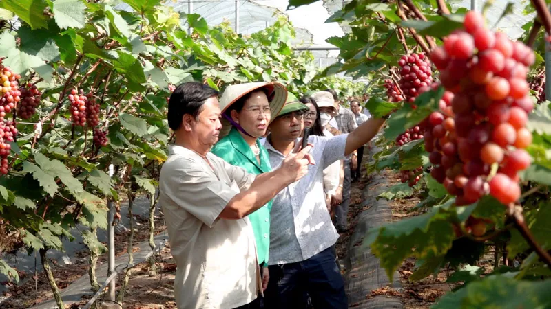 Lần đầu tổ chức Diễn đàn "Lắng nghe nông dân nói"