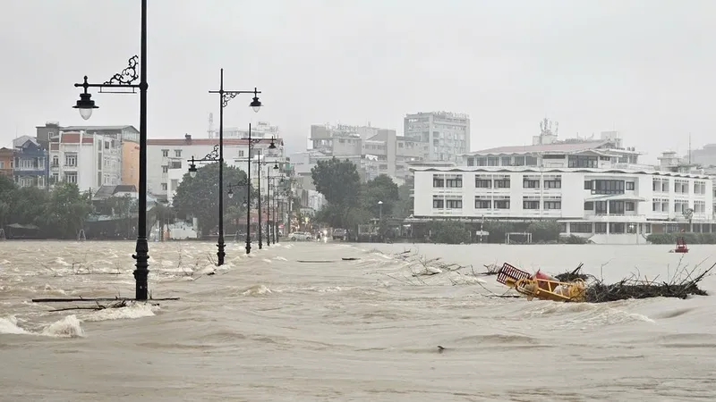 Bộ NN-PTNT đề nghị ứng phó giá rét và mưa lũ