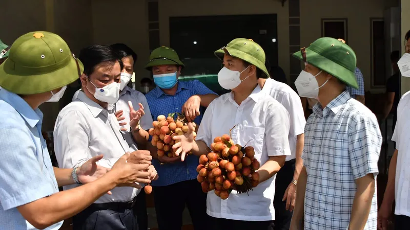 Bộ trưởng Bộ NN-PTNT đoạt giải cuộc thi viết về nông nghiệp, nông dân, nông thôn Việt Nam 