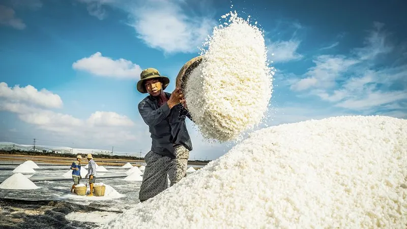 Festival nghề muối Việt Nam: “100 năm di sản nghề muối - đời người”