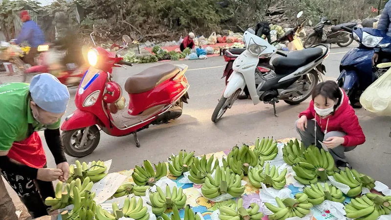 Miền Bắc: 500.000 đồng/nải chuối - đắt chưa từng thấy