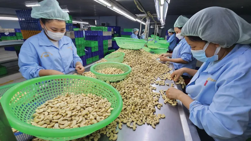 Nông sản - thực phẩm Việt Nam xuất khẩu sang EU trước báo động đỏ