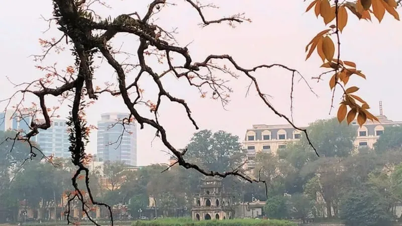 Hà Nội giảm bớt nồm ẩm