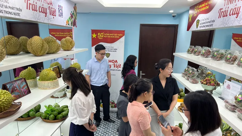 Khai mạc phòng trưng bày “Tinh hoa trái cây Việt” tại Hà Nội