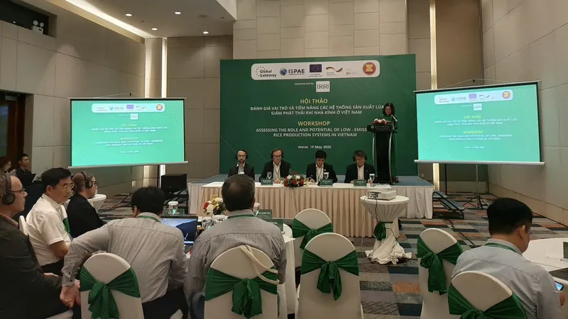 Việt Nam sẽ xuất khẩu gạo “low carbon” sang Nhật Bản