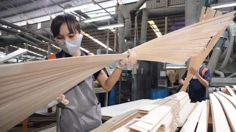 Hơn 130 công ty gỗ dán Việt Nam bị doanh nghiệp Hoa Kỳ đề nghị điều tra