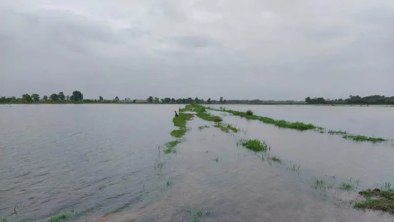 Bão số 1 gây ngập hơn 58.000ha lúa, hoa màu ở miền Trung