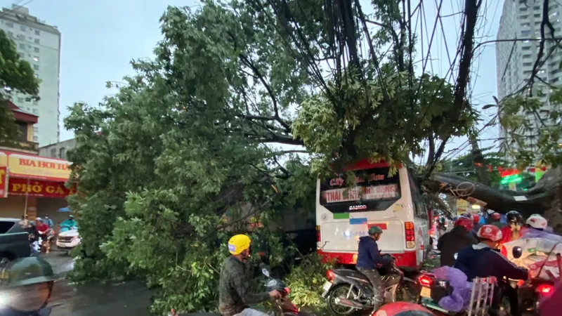 Cơ quan khí tượng: Dự báo chính xác “trận cuồng phong” là bài toán khó