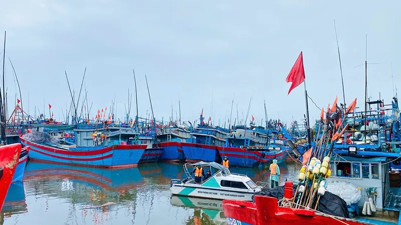 Cần sơ tán dân, bảo vệ đê điều trước bão số 10