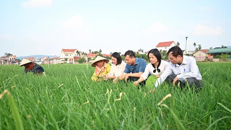 Chuẩn bị nguồn nông sản tốt cho thị trường tết