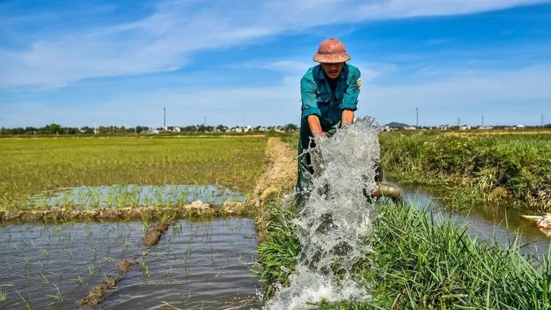 Miền Bắc: Tăng xả nước thủy điện phục vụ gần 480.000ha lúa Đông Xuân