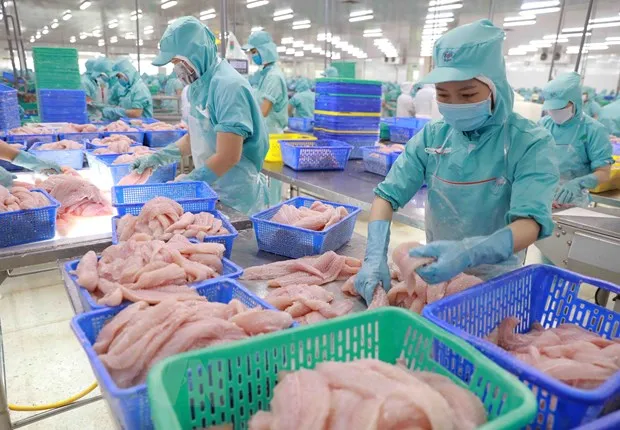 Chế biến thủy sản xuất khẩu