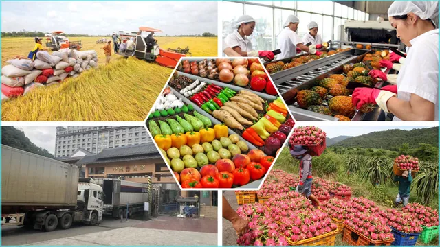 Xuất khẩu nông sản khởi sắc