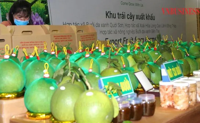 Chuẩn bị xuất khẩu bưởi sang Australia