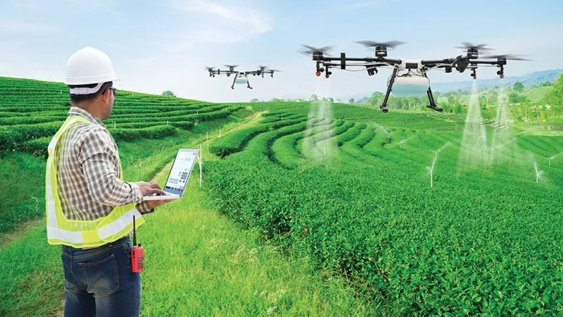 Cảnh báo rủi ro khi sử dụng drone phun thuốc bảo vệ thực vật