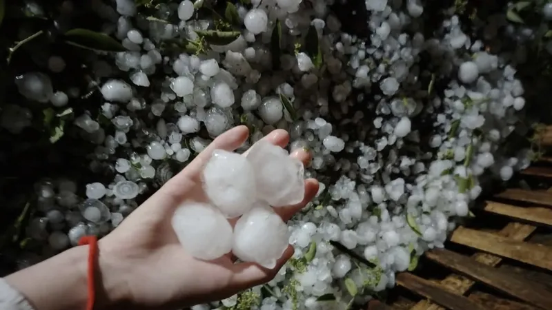 Phát hành tài liệu hướng dẫn nhận biết dấu hiệu sắp mưa đá
