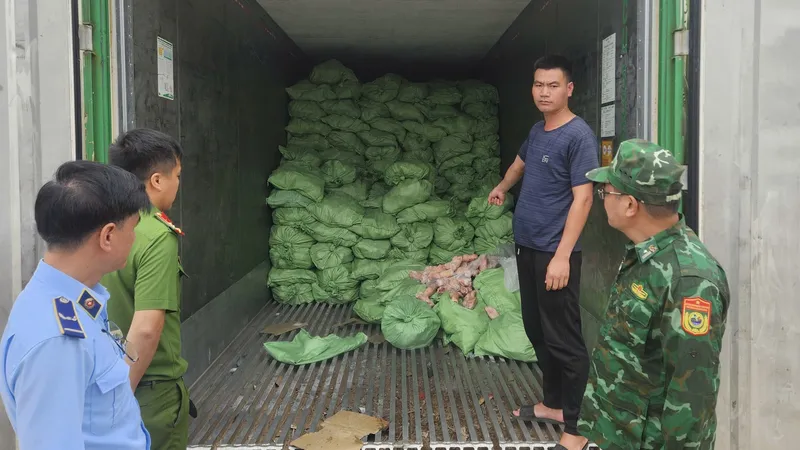 Lực lượng chức năng kiểm tra các lô thực phẩm không rõ nguồn gốc tại tỉnh Quảng Ninh. Ảnh: DMS