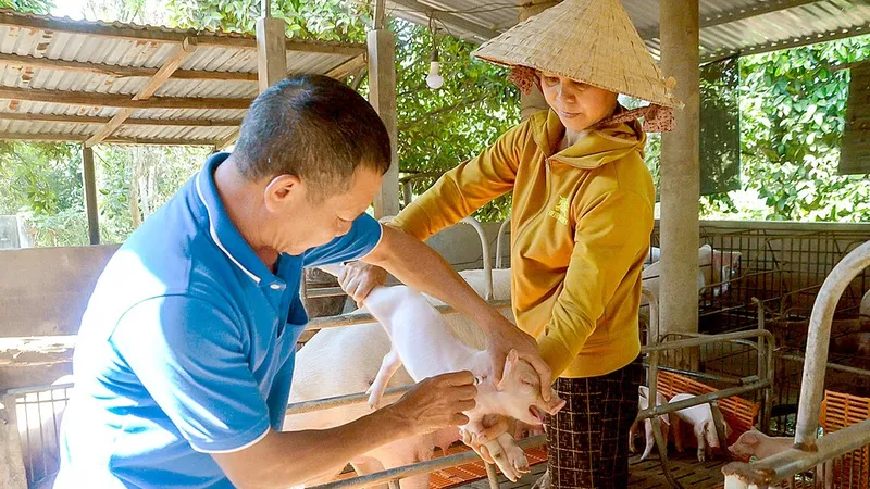 Giám sát hơn 1.000 mẫu xét nghiệm để phát hiện sớm virus SAT1