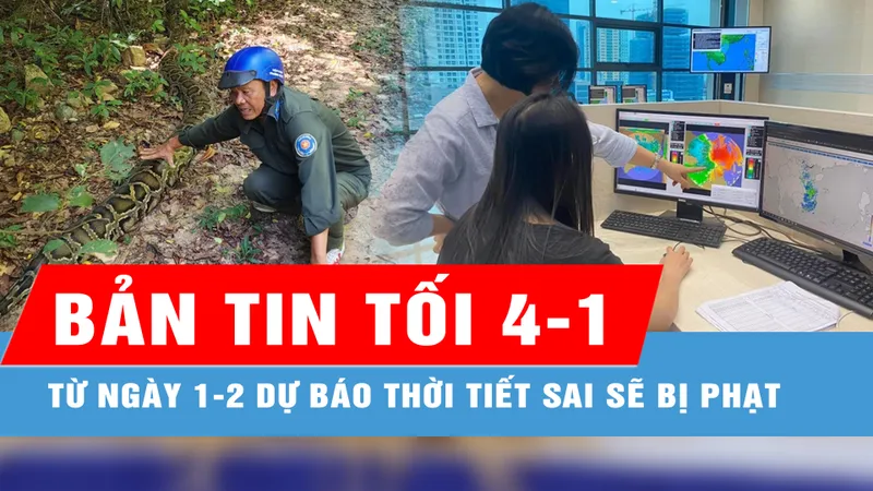 Bản tin tối 4-1: Từ 1-2 dự báo thời tiết sai sẽ bị phạt; Phát hiện trăn gấm "khổng lồ" dài 4m, nặng gần 100kg tại Phú Quốc