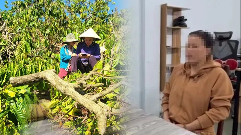 Podcast bản tin tối 14-2: Điều tra vụ vườn cà phê, hồ tiêu, sầu riêng của dân bị chặt phá hàng loạt; Người dân không chuyển tiền khi chưa xác thực thông tin từ thiện trên mạng