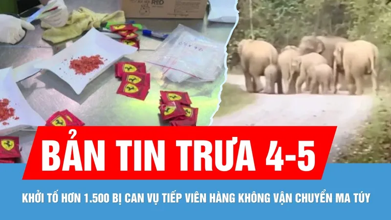 Bản tin trưa 4-5: Đàn voi rừng đi vào KCD ở Đồng Nai; Khởi tố hơn 1.500 bị can liên quan vụ tiếp viên hàng không vận chuyển ma túy