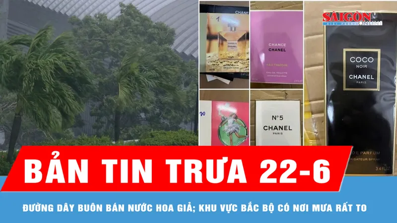 Bản tin trưa 22-6: Triệt phá đường dây buôn bán nước hoa giả; Bắc bộ có nơi mưa rất lớn