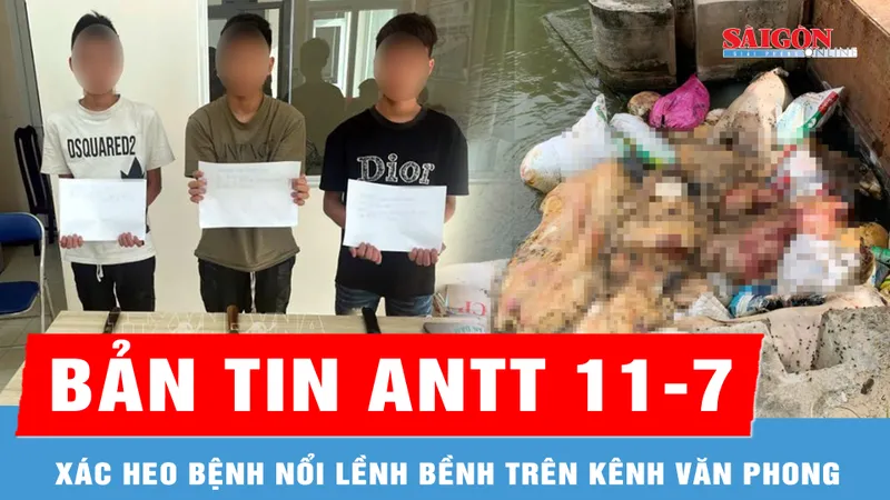 Bản tin ANTT 11-7: Xác heo bệnh nổi lềnh bềnh trên kênh; Khởi tố 14 đối tượng cướp tài sản, gây rối trật tự