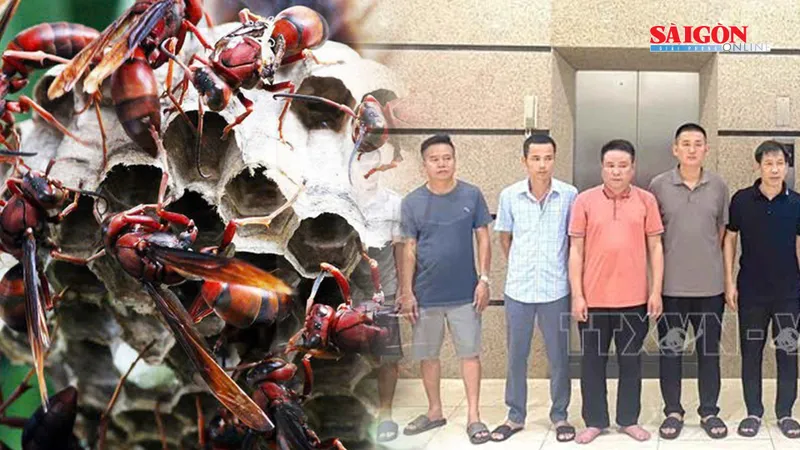 Podcast bản tin ANTT 8-9: Liên tiếp bị ong vò vẽ tấn công, hai người tử vong; Khởi tố 10 đối tượng liên quan đưa, nhận, môi giới hối lộ