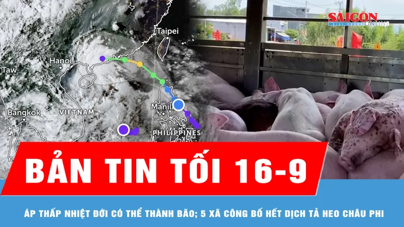 Bản tin tối 16-9: Áp thấp nhiệt đới có thể thành bão; Có 5 xã công bố hết dịch tả heo châu Phi