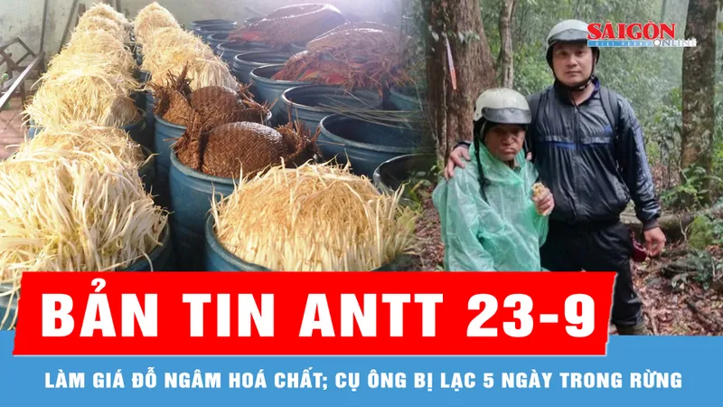 Bản tin ANTT 23-9: Đường dây làm giá đỗ ngâm hoá chất; Tìm thấy cụ ông bị lạc 5 ngày trong rừng