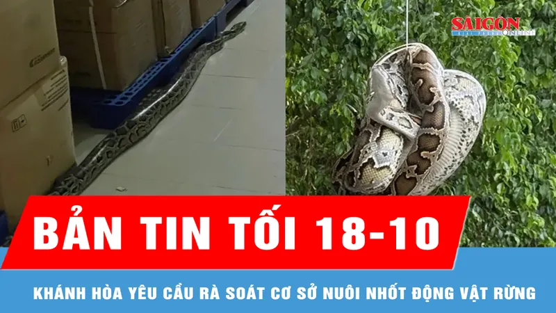 Bản tin tối 18-10: Khánh Hòa yêu cầu rà soát cơ sở nuôi nhốt động vật rừng