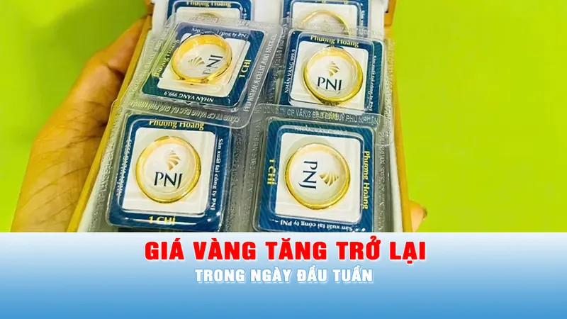 Podcast bản tin tối 20-10: Giá vàng tăng trở lại trong ngày đầu tuần