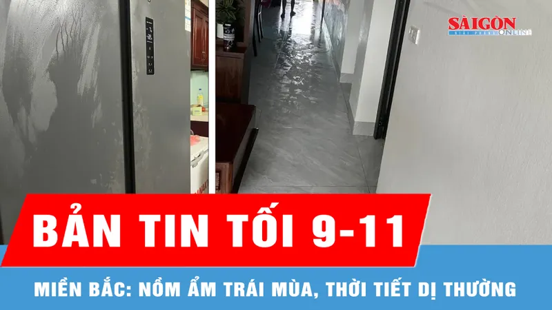 Bản tin tối 9-11: Miền Bắc: Nồm ẩm trái mùa, thời tiết dị thường