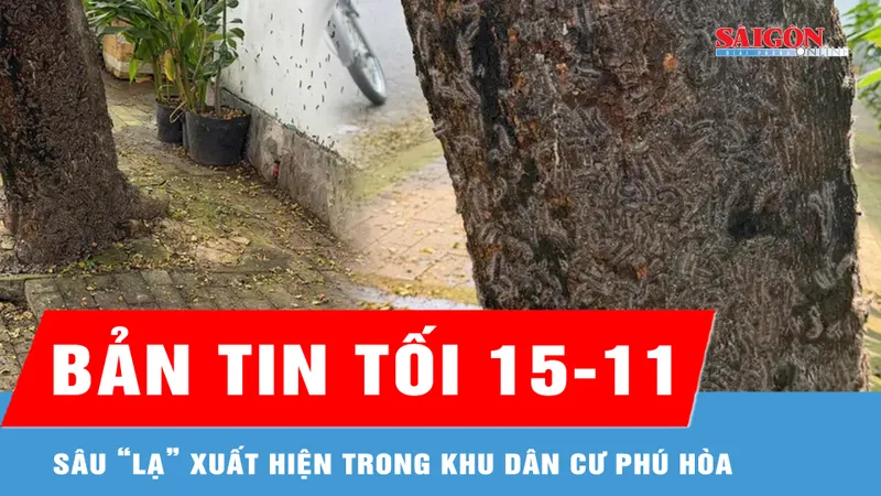 Bản tin tối 15-11: Sâu “lạ” xuất hiện trong khu dân cư Phú Hòa