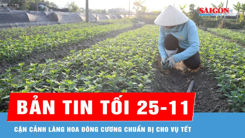 Bản tin tối 25-11: Cận cảnh làng hoa Đông Cương chuẩn bị cho vụ tết 