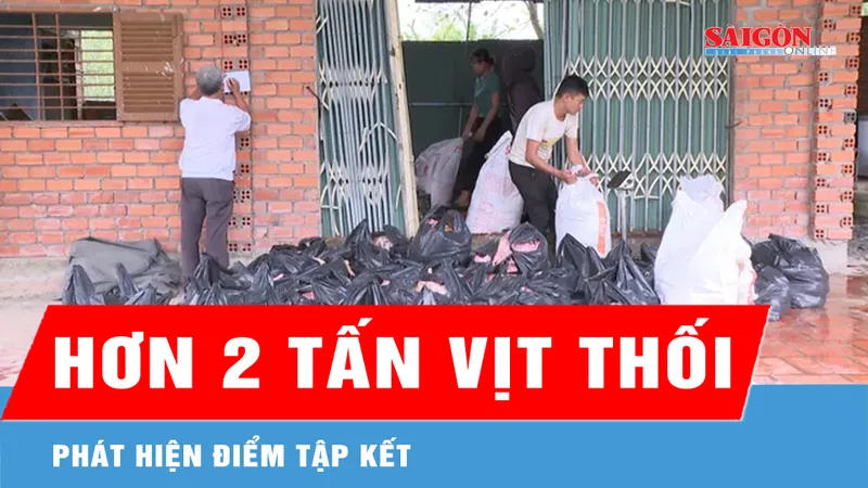 Phát hiện điểm tập kết hơn 2 tấn thịt vịt hôi thối tại phường Bến Cát 