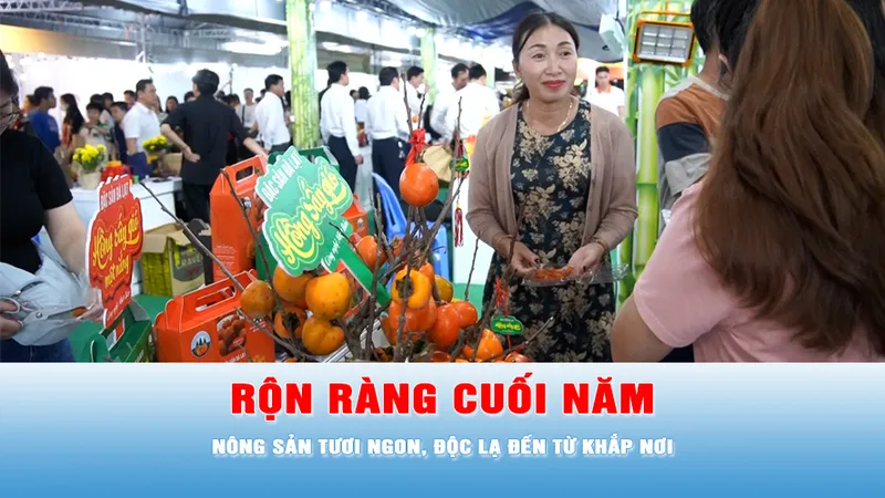 Podcast tin trưa 20-12: "Phiên chợ nông sản vùng miền - Bình Đông" có gì thú vị?
